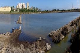 VISITA A LAS SALINAS 