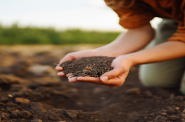 AGRONAUTAS: EXPLORANDO LA TIERRA PARA ALIMENTAR EL MUNDO 