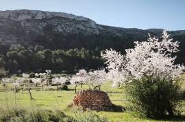 RUTA ETNOGR�FICA: RAMBLA DE LOS JARALES-BARRANCO DE S�GENA